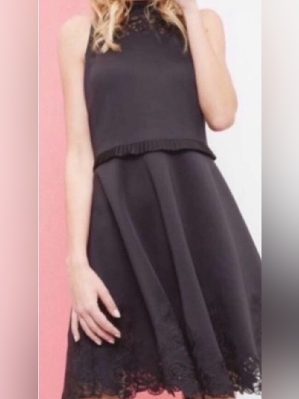 Ted Baker London Zaffron Embroidered Skater Black Dress